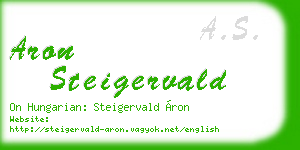 aron steigervald business card