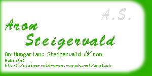 aron steigervald business card